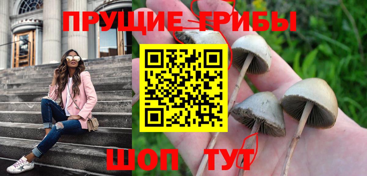 Псилоцибиновые грибы MAGIC MUSHROOMS  Вход с VPN  Киров 